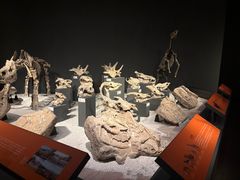 -重庆自然博物馆(新馆)