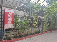 -大海别墅民宿农家院(十渡店)