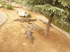 -石家庄市动物园