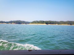 -广州市流溪河国家森林公园