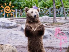 -常州淹城野生动物世界