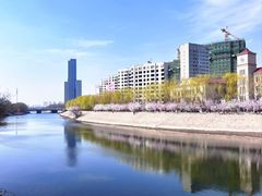 -桃花堤公园