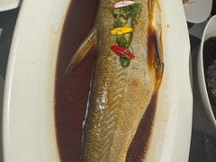 -醉庐·新上海菜(南京西路店)