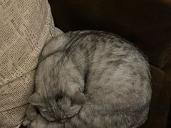 -隅cafe(傅厚岗店)