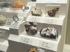 -天津自然博物馆