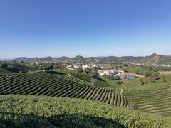 -帐篷客·溪龙茶谷度假酒店