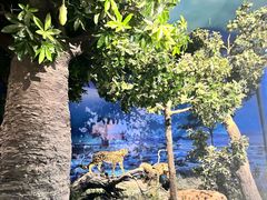 -国家自然博物馆