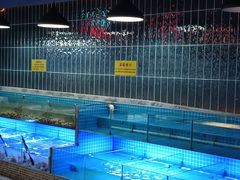 -海韵之星邮轮水会(明发商业广场店)