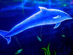 -福州罗源湾海洋世界旅游区