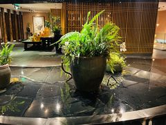 -青藤茶馆(凤起路店)