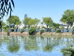 -无锡蠡湖国家湿地公园-蠡园