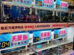 -汤姆熊欢乐世界·史莱姆怪兽(正大店)