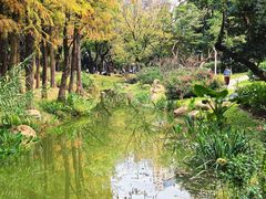 -人民公园(罗湖区)