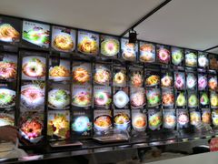 -金手勺东北菜馆(大屯北路店)