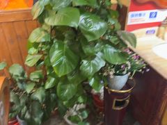 -俄士厨房(印象汇店)