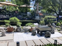 -蘇河湾·新鲁菜·泰山宴(泰山店)