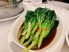 -金春禧(世茂国际广场店)
