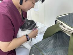 -美联众合动物医院·24h京西诊疗中心