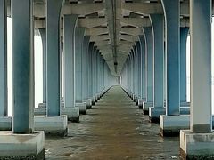 -宝安西湾红树林湿地公园