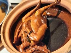 -新兴·金羊座·粤菜点心(乐峰店)