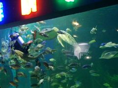 -石林冰雪海洋世界