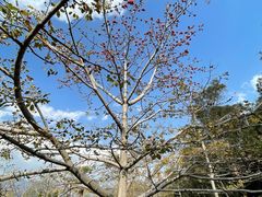 -攀枝花公园