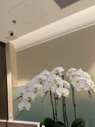 点击看大图 -贝黎诗SPA