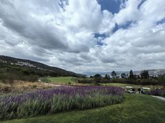 -昆明春城湖畔度假村