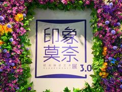-印象莫奈时光映迹艺术展