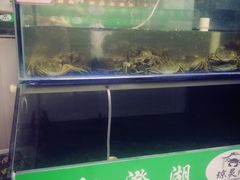 -阳澄湖大闸蟹·琼灵阁牌品牌连锁(吴中总店)