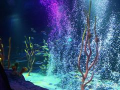 -沈阳海洋探索中心