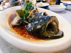 清蒸石斑鱼-锦里海景海鲜餐厅.三亚老字号(亚龙湾中心广场店)