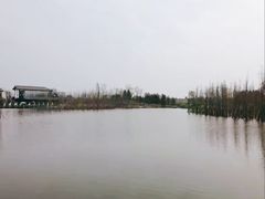 -白鹭湾湿地公园