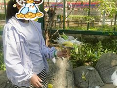 -北戴河集发农业梦想王国