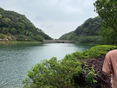 -广州市流溪河国家森林公园