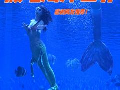 -石家庄极地海洋世界