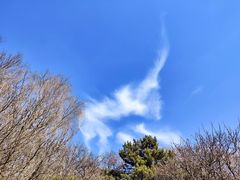 -沈阳市东陵公园