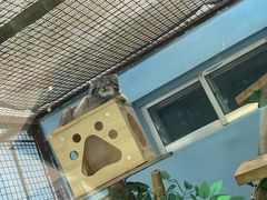 -青藏高原野生动物园