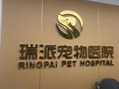 -瑞派康怡24h宠物医院·犬猫医疗中心·微创绝育(瑞景分院)