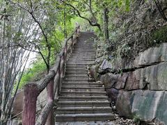 -铁山坪森林公园