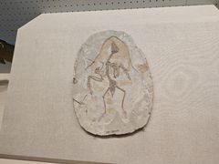 -辽宁古生物博物馆