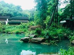 -杭州植物园