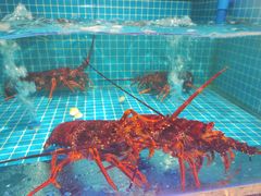 -恒记饭店·海鲜明档(淹城店)