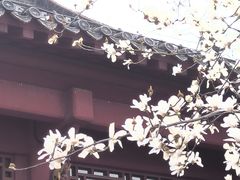 -长春观