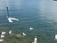 -青海湖二郎剑景区