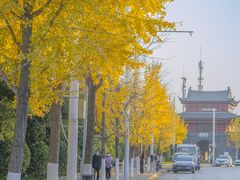 -西北湖绿化广场