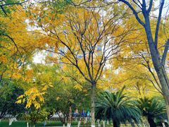 -仟吉西饼(黄石武汉路店)