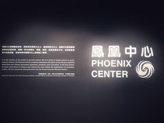 -凤凰中心