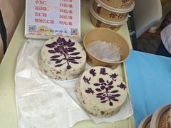 -嘉定紫藤园