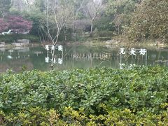 -杭州西溪宾馆-松露西餐厅